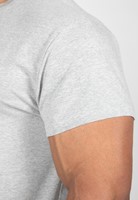 Murray T-Shirt Gray