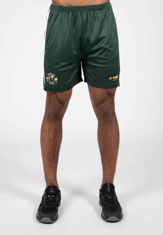 Orlando Shorts - Green - 4XL